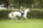 SBM_73674