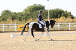 SBM_006493