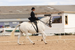 SBM_15888