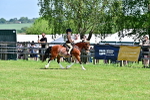 SBM_13875