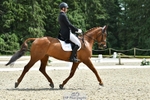 418-ARTFUL_TRINITY-Max_Warburton-DR portfolio
