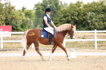 SBM_006570