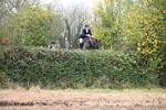 WJ6_7586