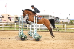 SBM_003333