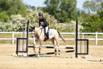 SBM_007385