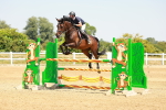 SBM_001831