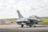 _J8A5194 copy