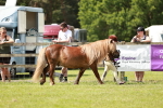 SBM_02478