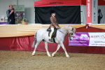 SBM_10646