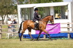 SBM_17973