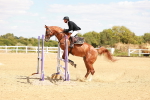 SBM_006503