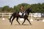 SBM_013631