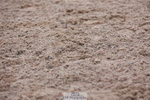 240121A-103346-01103