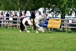 SBM_09404