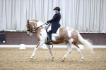 SBM_006979