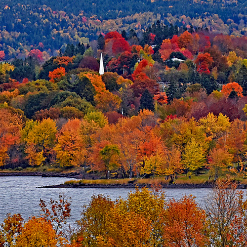 Autumn Foliage Hampton New Brunswick Canada