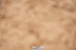 240526A-110608-07726