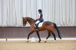 SBM_001426