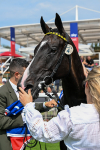 260725-Race 3-Royal Champion-0548