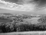 2199 - Tyndale Monument from Stinchcombe Hill