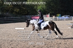 BPP_8883