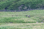 Wasdale-4