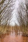 Testwood Lakes 8539 d deg