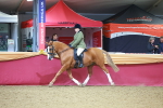 SBM_10672