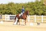 SBM_017523
