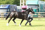 SBM_02256