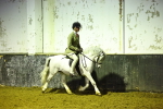 SBM_009336