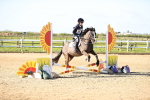 SBM_000231