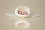white egg