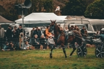 DSCF7146