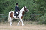 WJ7_1076