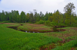 Soomaa National Park, Estonia