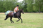 WJ6_5924