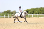 SBM_010163