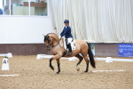SBM_001936