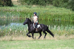 WJ7_8905
