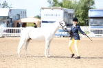 SBM_02457