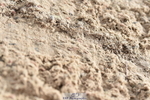231013A-105240-01407
