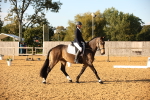 SBM_31424