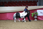 SBM_01133