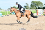 Cls 30 Snr Foxhunter portfolio