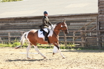 SBM_000796