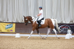 SBM_000732