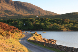 The Bend in the Road