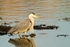 20120601-_MG_9929