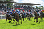 310526-Race 2-Dazzling Haze-8401